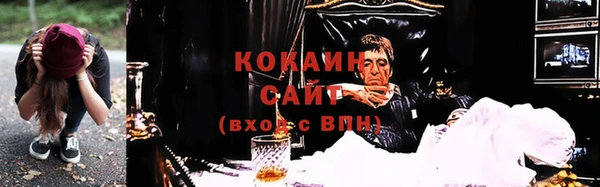 прущие грибы Арсеньев